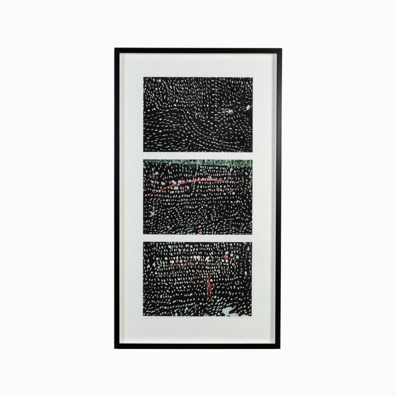 LUCINDA BUNNEN, 2005, B/W STARRY