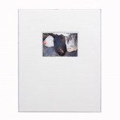 LUCINDA BUNNEN, "CHICKENS", CO