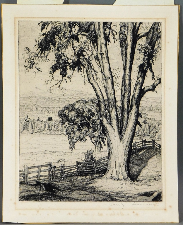 LUIGI LUCIONI OLD ELM LANDSCAPE