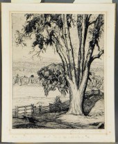 LUIGI LUCIONI OLD ELM LANDSCAP