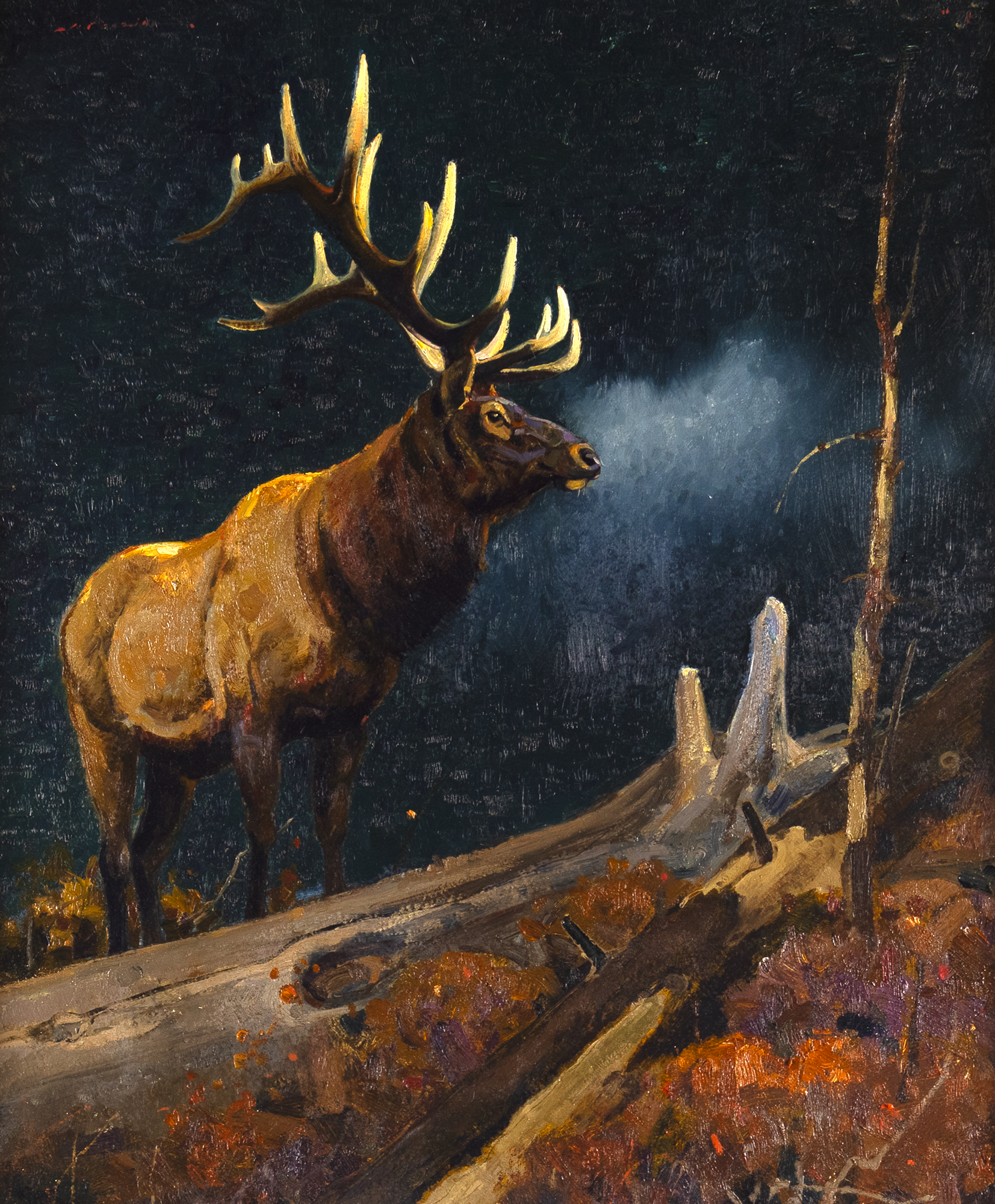LUKE FRAZIER (1970- ), DEEP IN