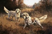 LUKE FRAZIER (B. 1970)The Quic