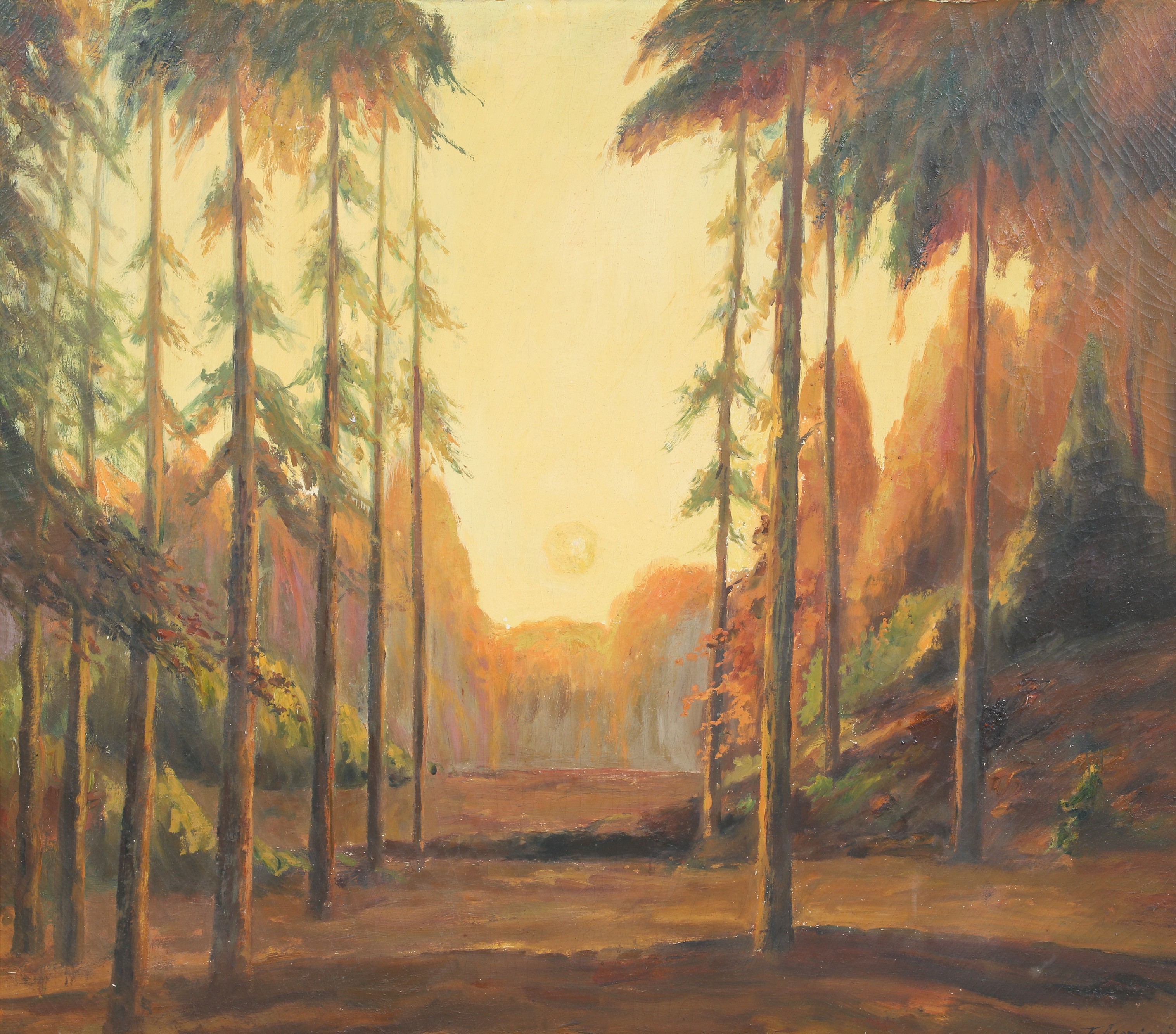 Luminous Western landscape