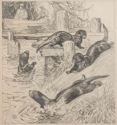 LYNN BOGUE HUNT WILDLIFE DRAWI