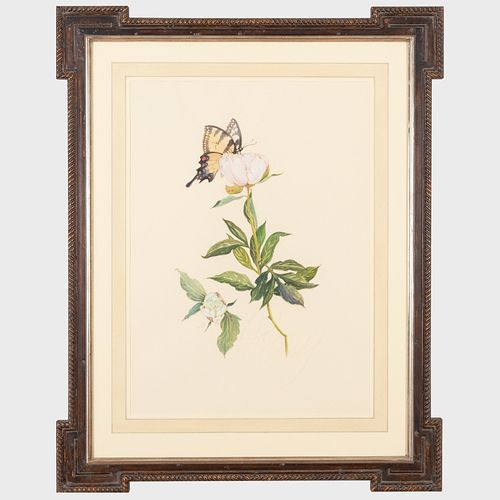LYNN CARDEN: PEONY WITH TIGER