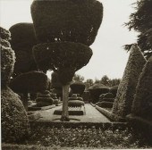 LYNN GEESAMAN "LEVENS HALL CUM