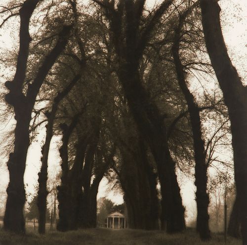 LYNN GEESAMAN "PARC DE CANON FRANCE