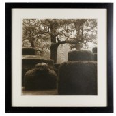 LYNN GEESAMAN, PHOTOGRAPH Lynn