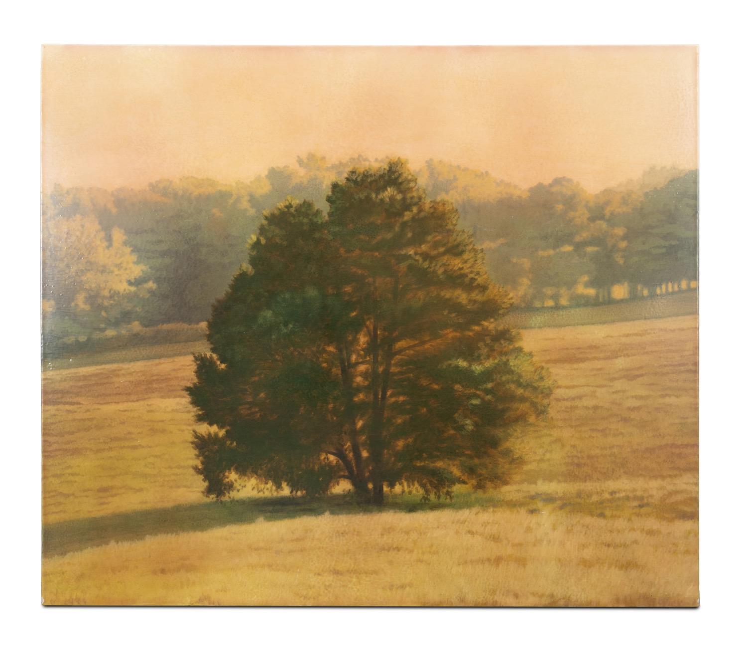 M. DINES, "CEDAR AT MARTIN FARM"