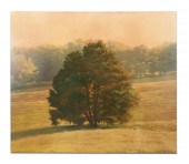 M. DINES, "CEDAR AT MARTIN FAR