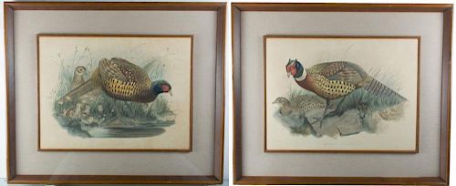 M & N HANHART PHEASANT
