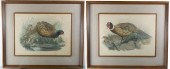 M & N HANHART PHEASANT LITHOGR