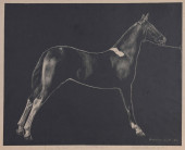 MABEL WELLINGTON JACK (1899 -