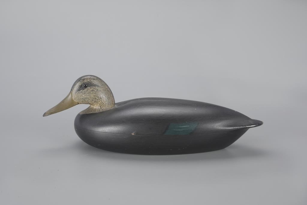 MACKEY-WHEELER BLACK DUCKCharles E.
