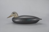 MACKEY-WHEELER BLACK DUCKCharl