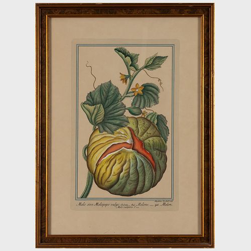 MADDALENA BOUCHARD (1772-1793):