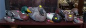MADISON MITCHELL & OTHER DUCK
