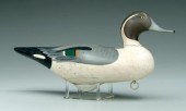 Madison Mitchell pintail drake