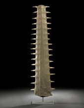 Magnum Sawfish Rostrum,  now m