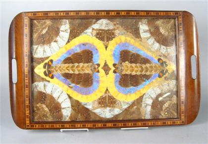 Mahogany and glazed specimen