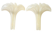 MAISON ROUGIER PEARLESCENT PER