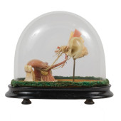MAISON TRAMOND WAX ANATOMICAL