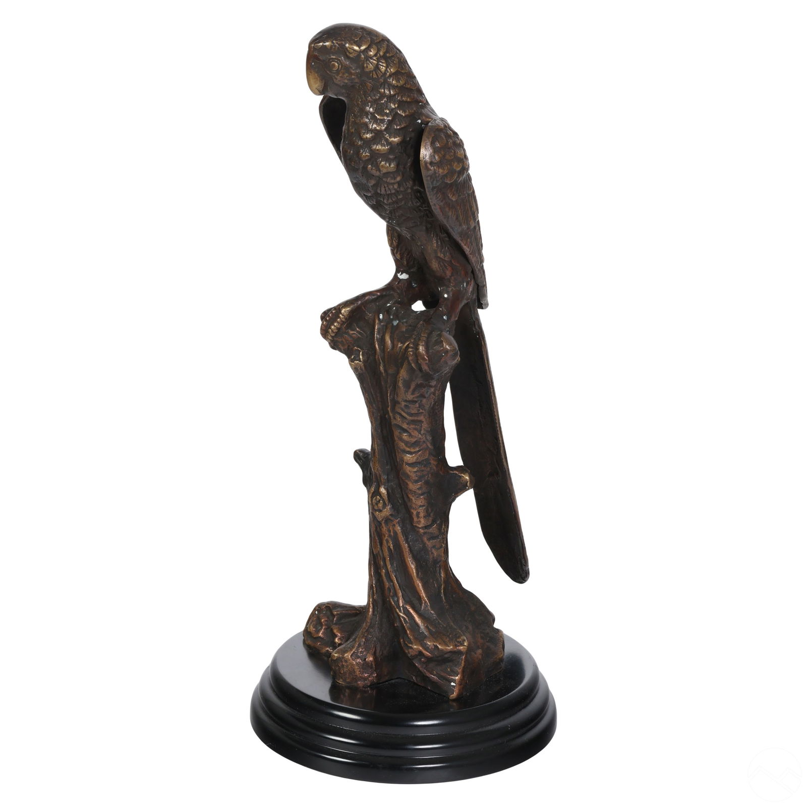 MAITLAND SMITH STYLE BRONZE MACAW