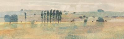 Malcolm Ashman (born