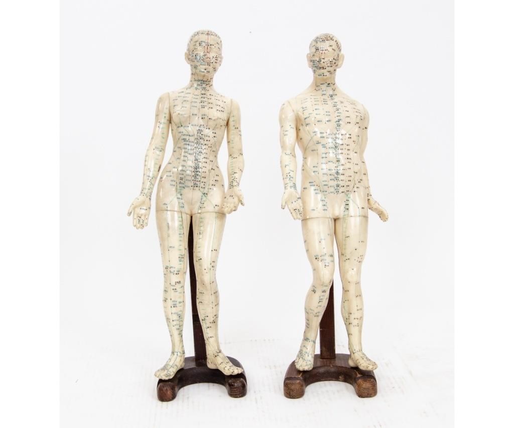 Male and female Chinese acupuncture