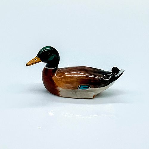 MALLARD DRAKE HN2572 - ROYAL