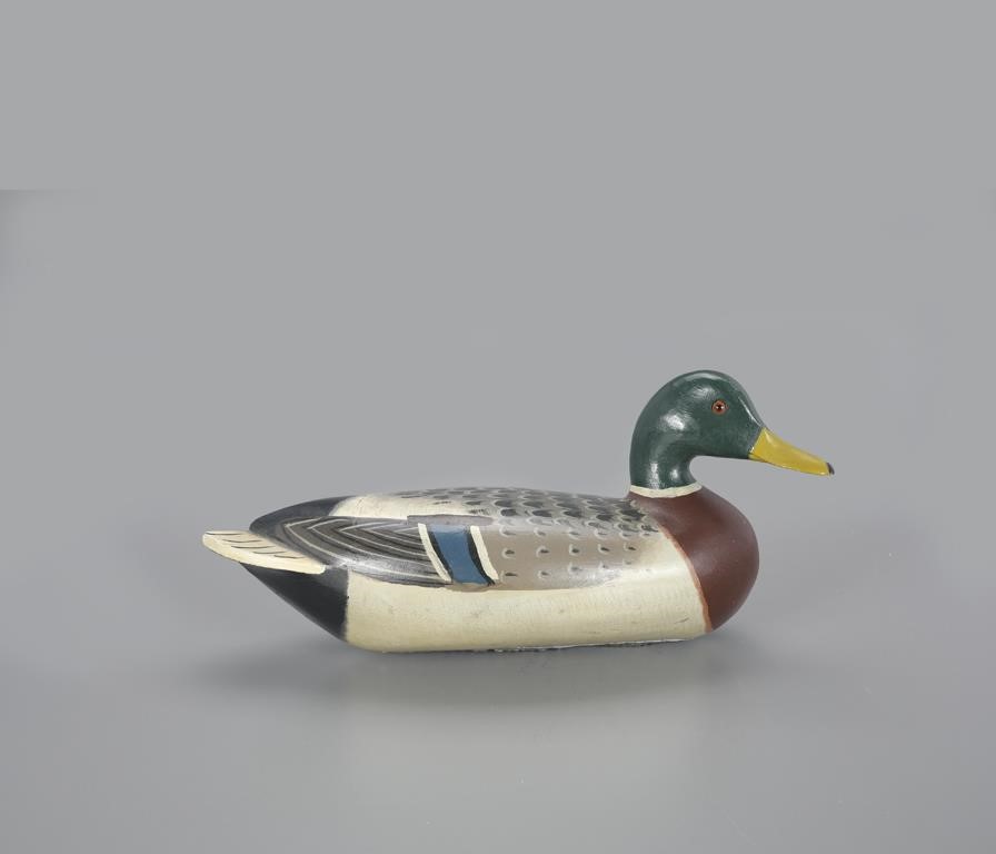 MALLARD DRAKECharles Perdew