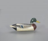 MALLARD DRAKECharles Perdew (1