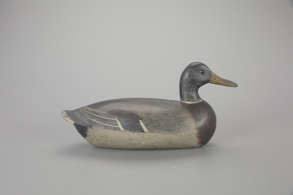MALLARD DRAKEHenry Holmes