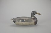 MALLARD DRAKEHenry Holmes (187