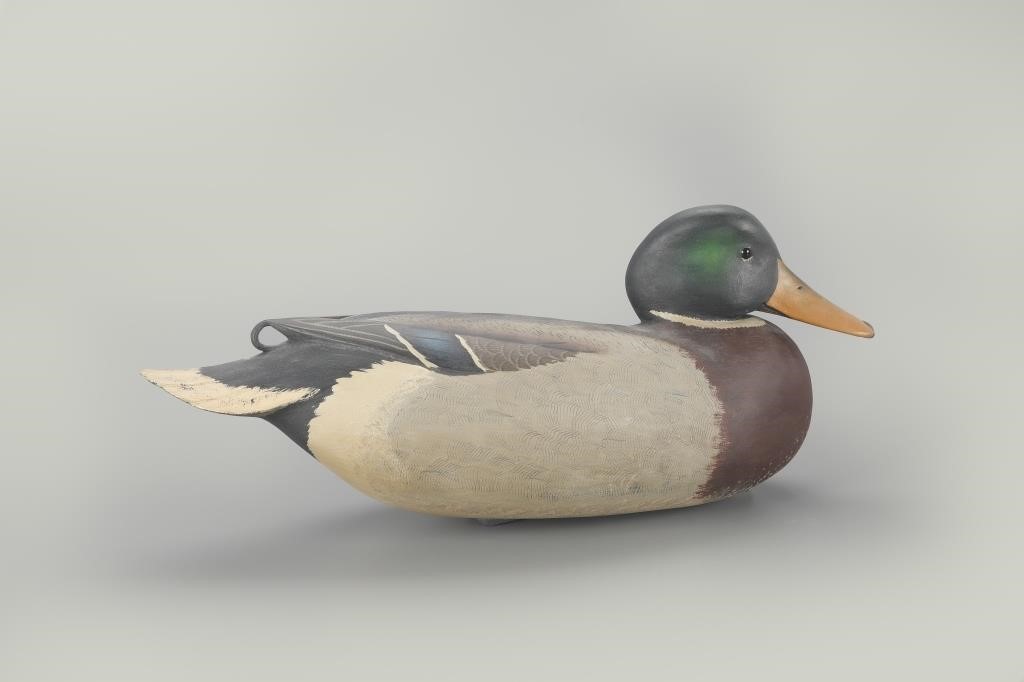 MALLARD DRAKERobert "Bob" White (b.