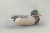 MALLARD DRAKERobert "Bob" Whit
