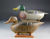 Mallard Pair by Ben YearganDra