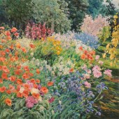 MALVA - GARDENS OF WILDFLOWERS
