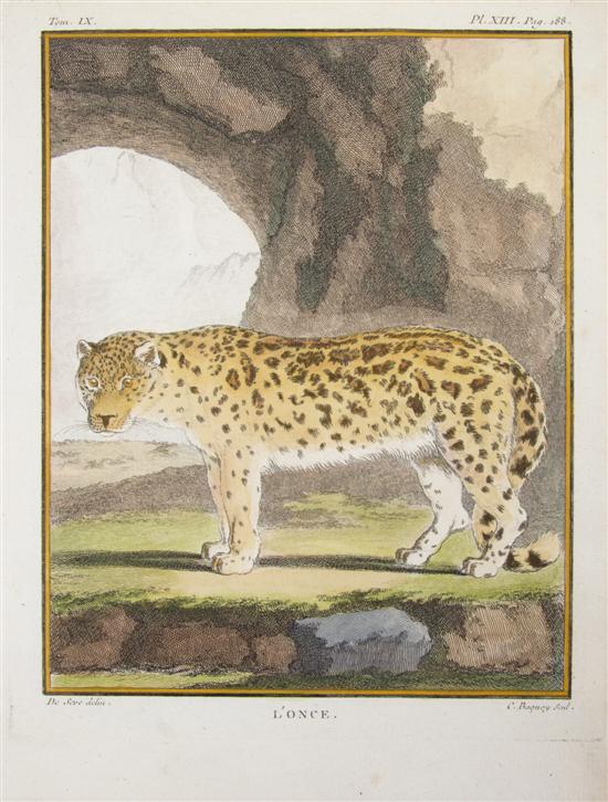 (MAMMALS) A group of 15