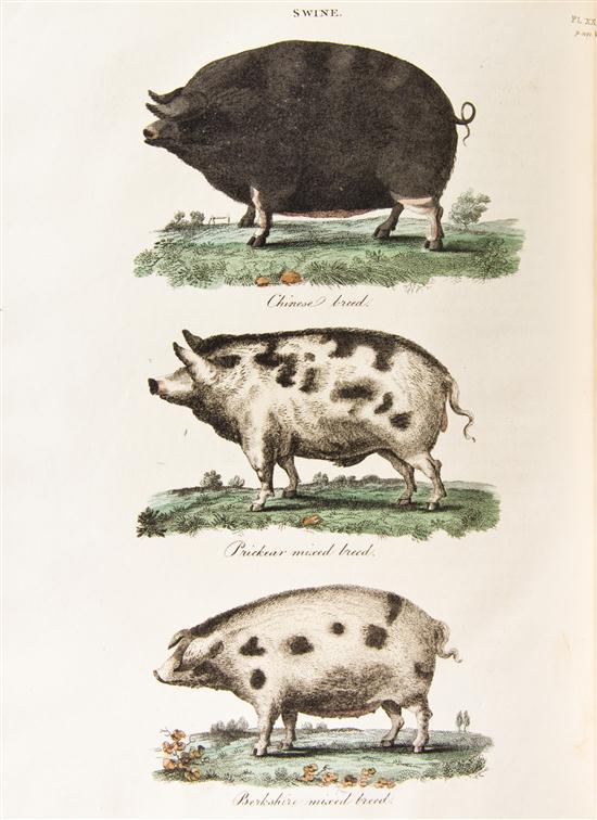 (MAMMALS) DICKSON R. W. Practical