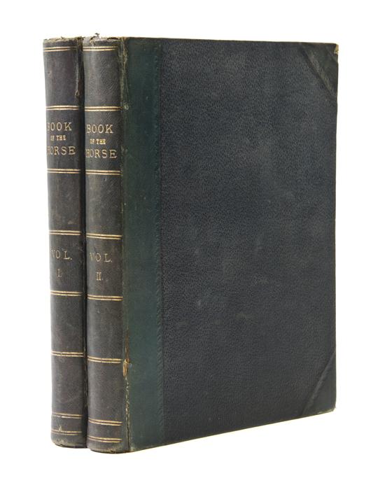 (MAMMALS) SIDNEY [SAMUEL] The