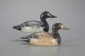MAMMOTH-GRADE BLUEBILL PAIREva