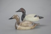 MAMMOTH-GRADE CANVASBACK PAIRE