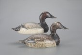 MAMMOTH-GRADE CANVASBACK PAIRE