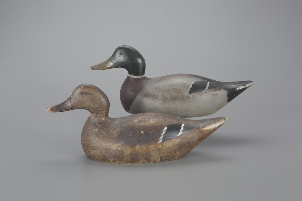 MAMMOTH-GRADE MALLARD PAIREvans