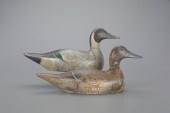 MAMMOTH-GRADE PINTAIL PAIREvan