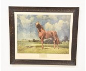 Man O' War horse print for the