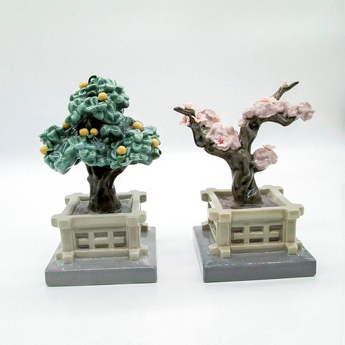MANDARINE AND CHERRY TREE POTS