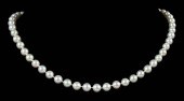 MANFREDI 18KT. PEARL NECKLACEk