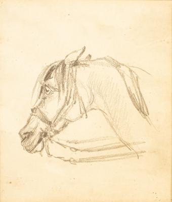 Manner of Alfred Munnings/Head of